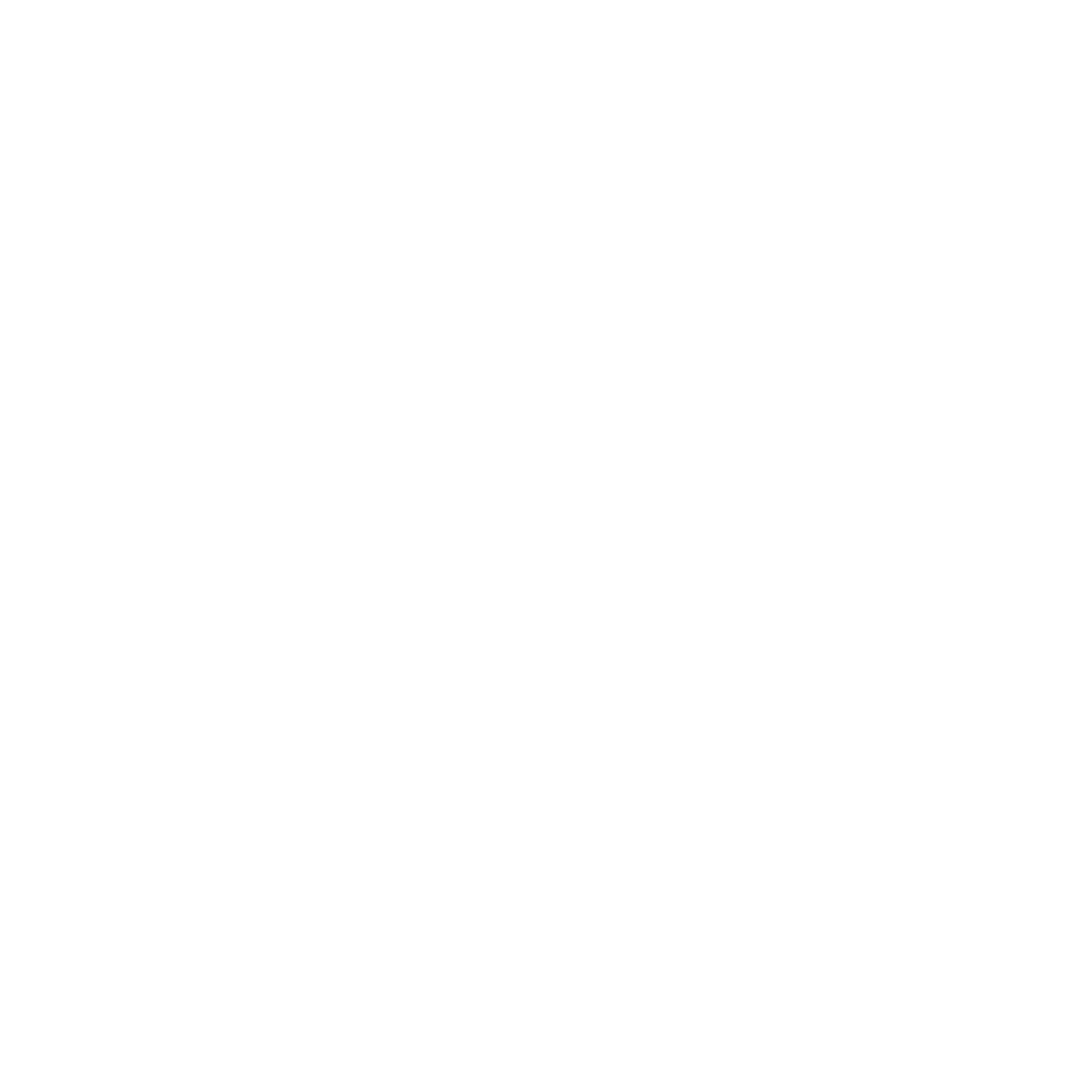 Misfit Branding White Logo
